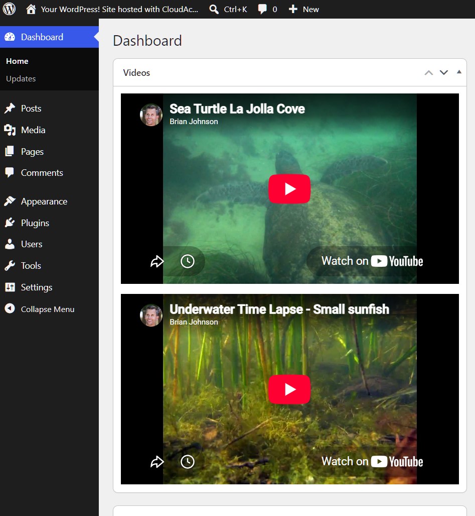 Client training videos displayed inside the WordPress dashboard using Video Dashboard